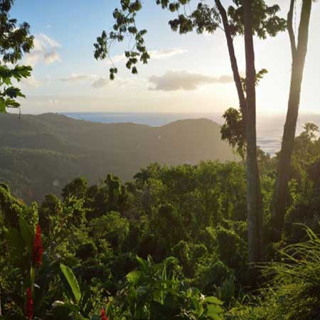 Au bois dormant bon coin vacances Guadeloupe